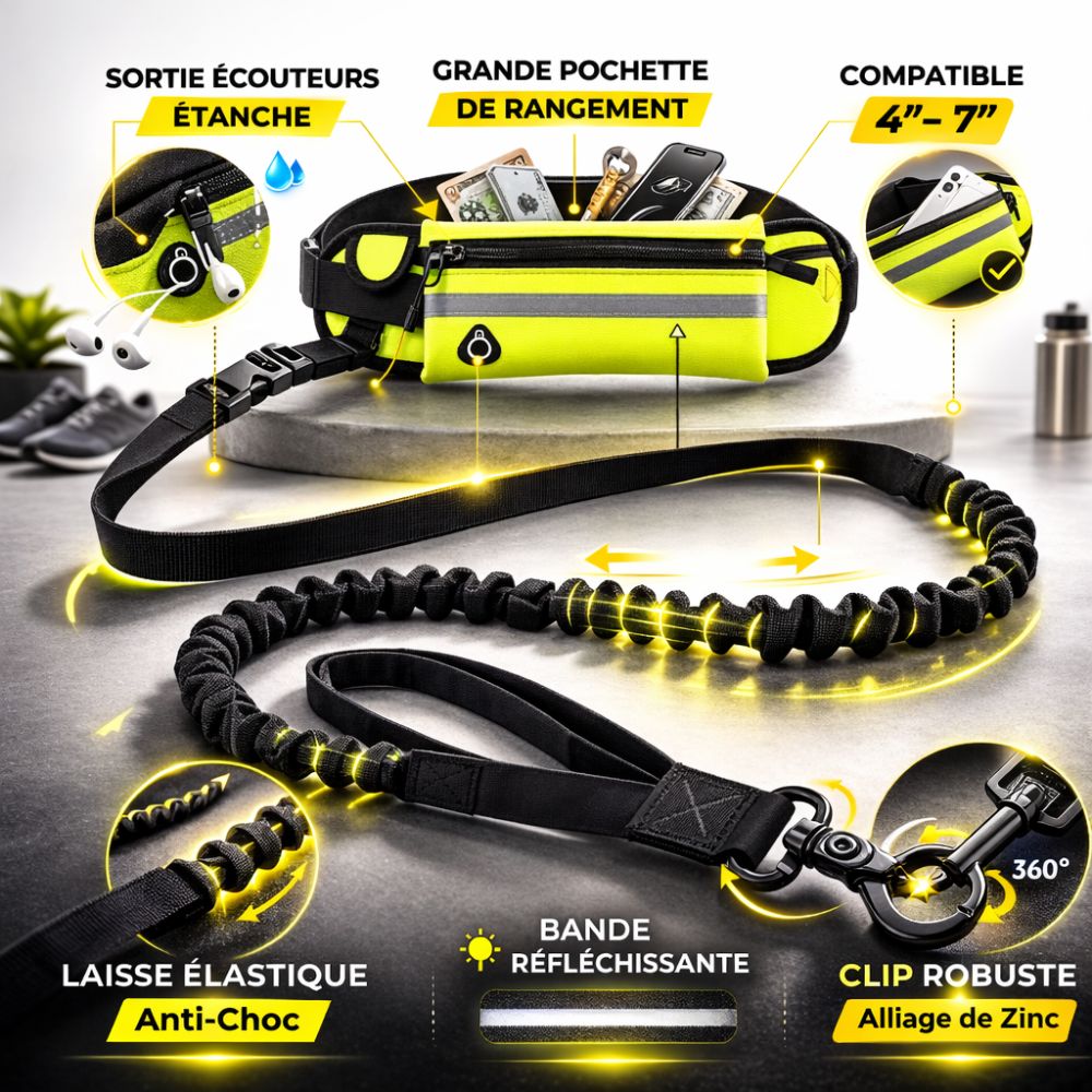Laisse Mains Libres Anti-Traction pour Chien avec Amortisseur