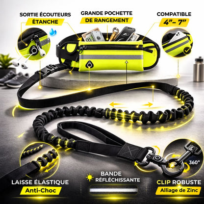 Laisse Mains Libres Anti-Traction pour Chien avec Amortisseur