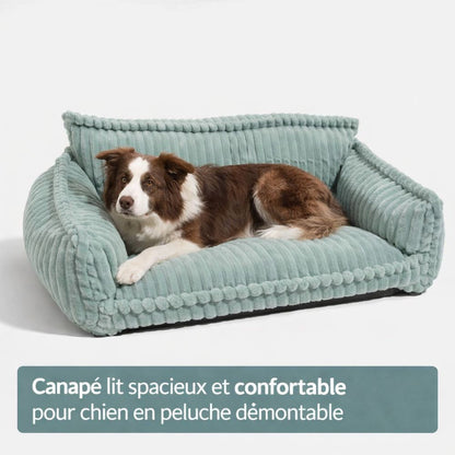 Canapé Orthopédique pour Chien en Velours Côtelé