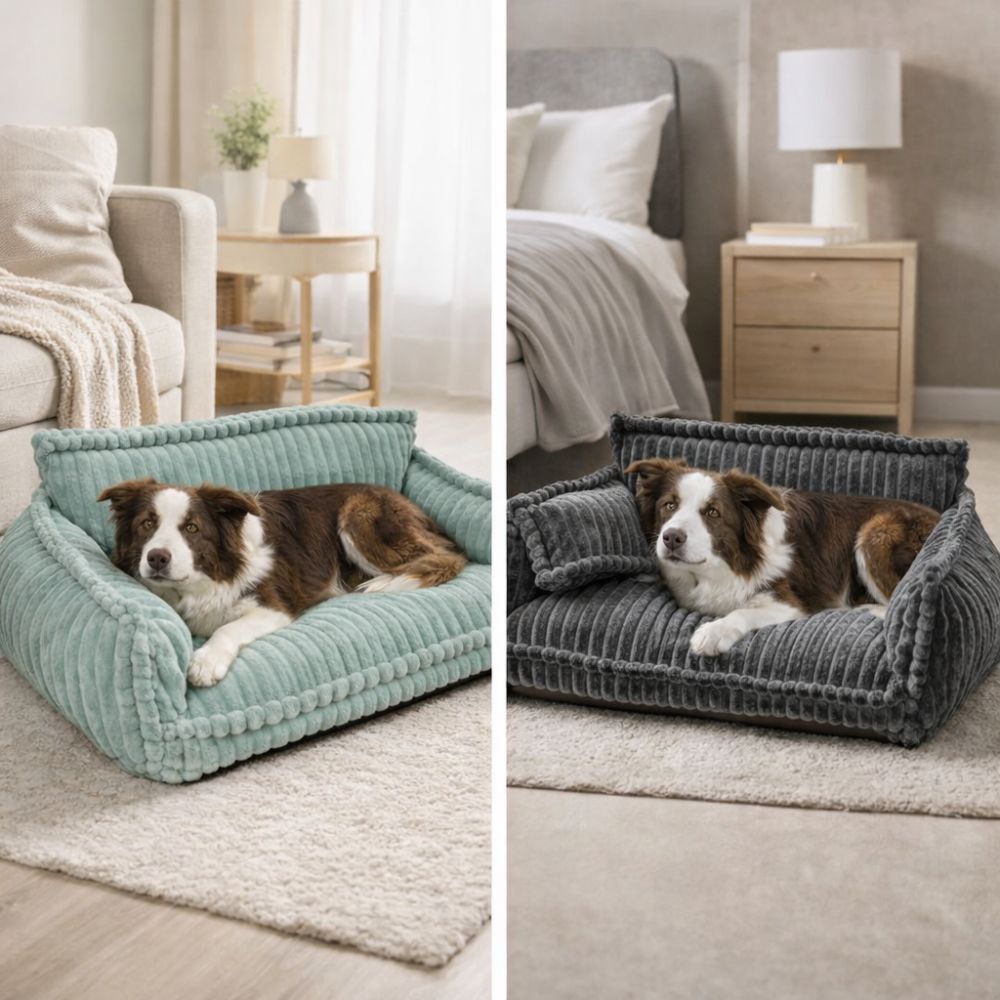 Canapé Orthopédique pour Chien en Velours Côtelé
