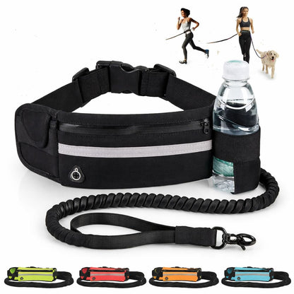 Laisse Mains Libres Anti-Traction pour Chien avec Amortisseur