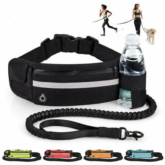 Laisse Mains Libres Anti-Traction pour Chien avec Amortisseur