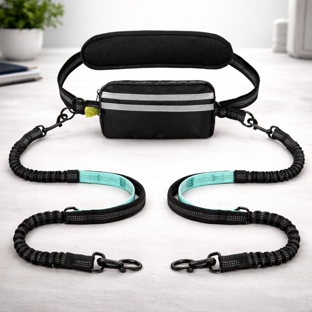 Laisse Double Mains Libres pour 2 Chiens