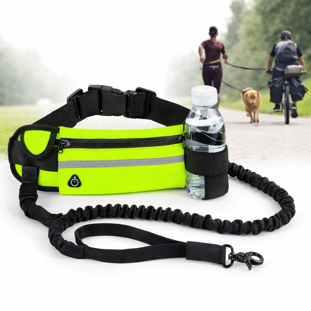 Laisse Mains Libres Anti-Traction pour Chien avec Amortisseur
