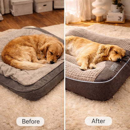 Canapé pour Chien Confort Hiver