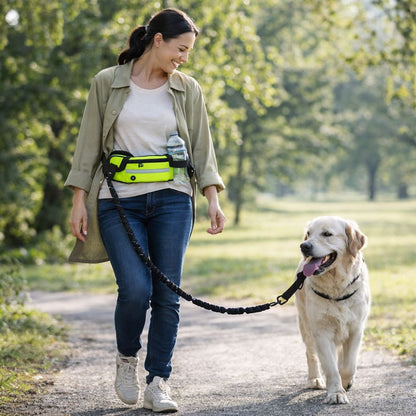 Laisse Mains Libres Anti-Traction pour Chien avec Amortisseur