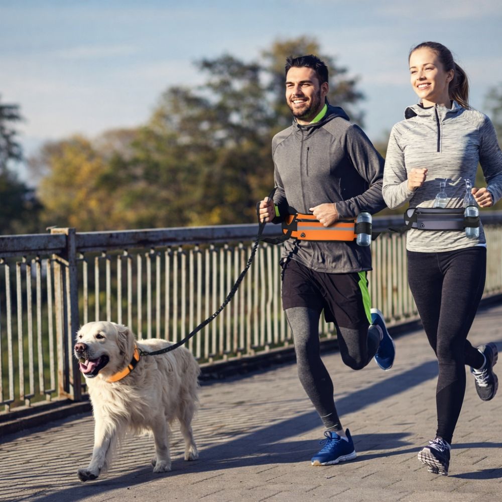 Laisse Mains Libres Anti-Traction pour Chien avec Amortisseur