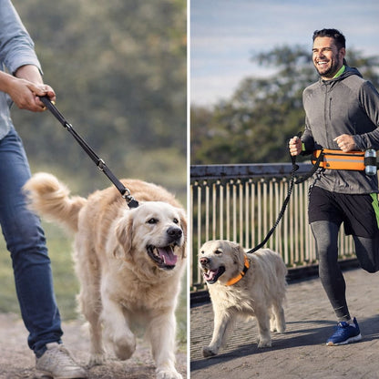 Laisse Mains Libres Anti-Traction pour Chien avec Amortisseur