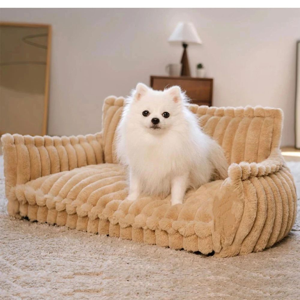 Canapé Orthopédique pour Chien en Velours Côtelé