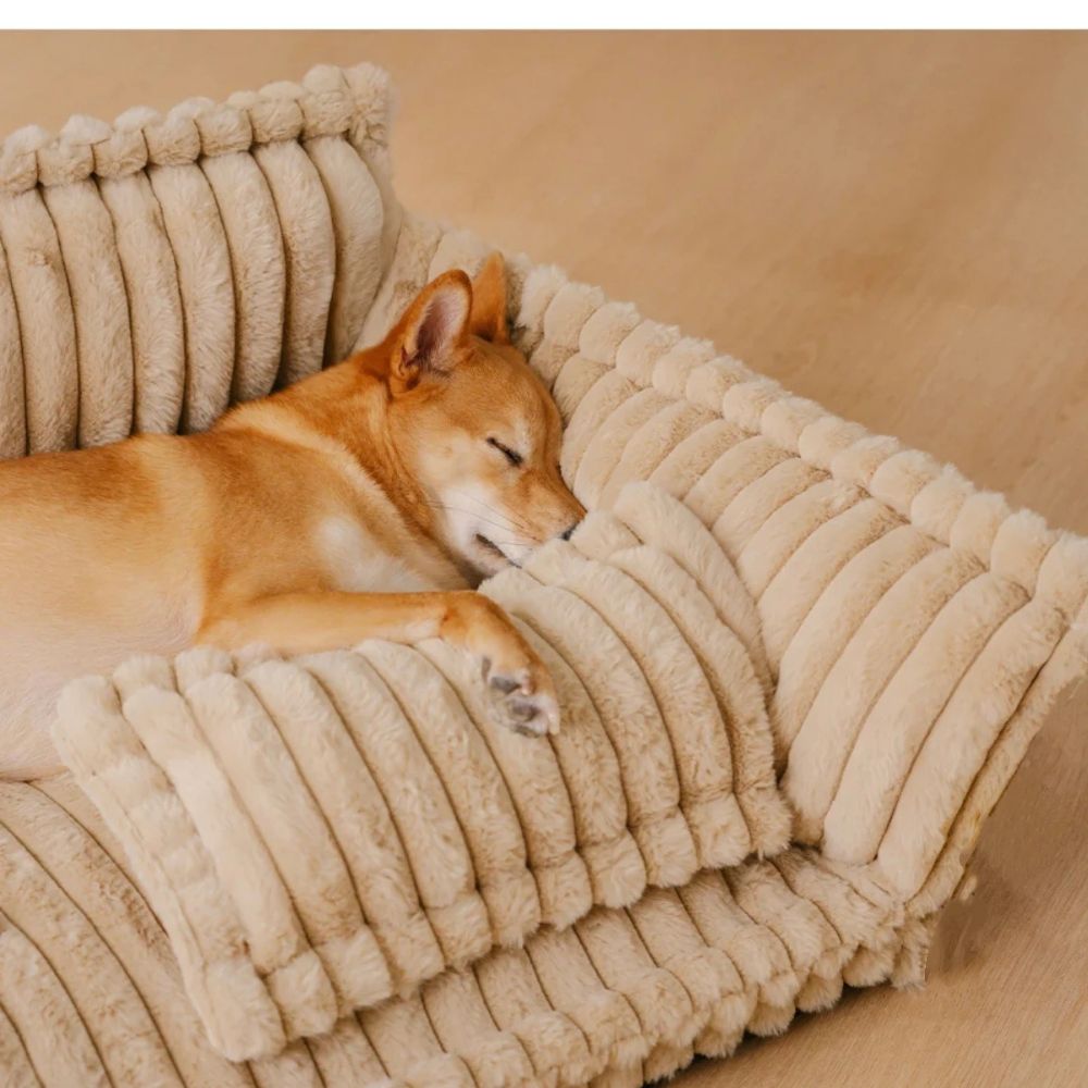 Canapé Orthopédique pour Chien en Velours Côtelé