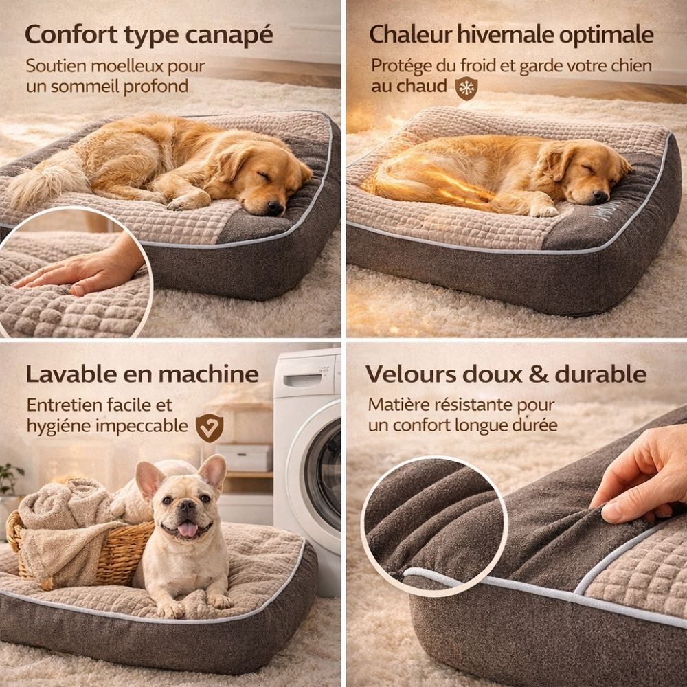 Canapé pour Chien Confort Hiver