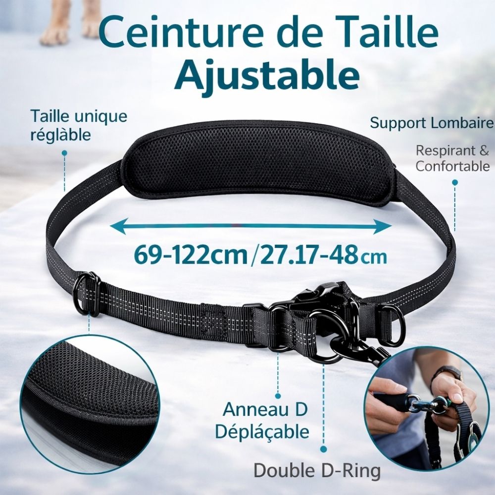 Laisse Double Mains Libres pour 2 Chiens