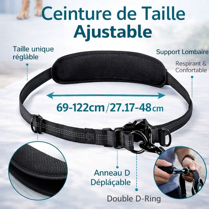 Laisse Double Mains Libres pour 2 Chiens