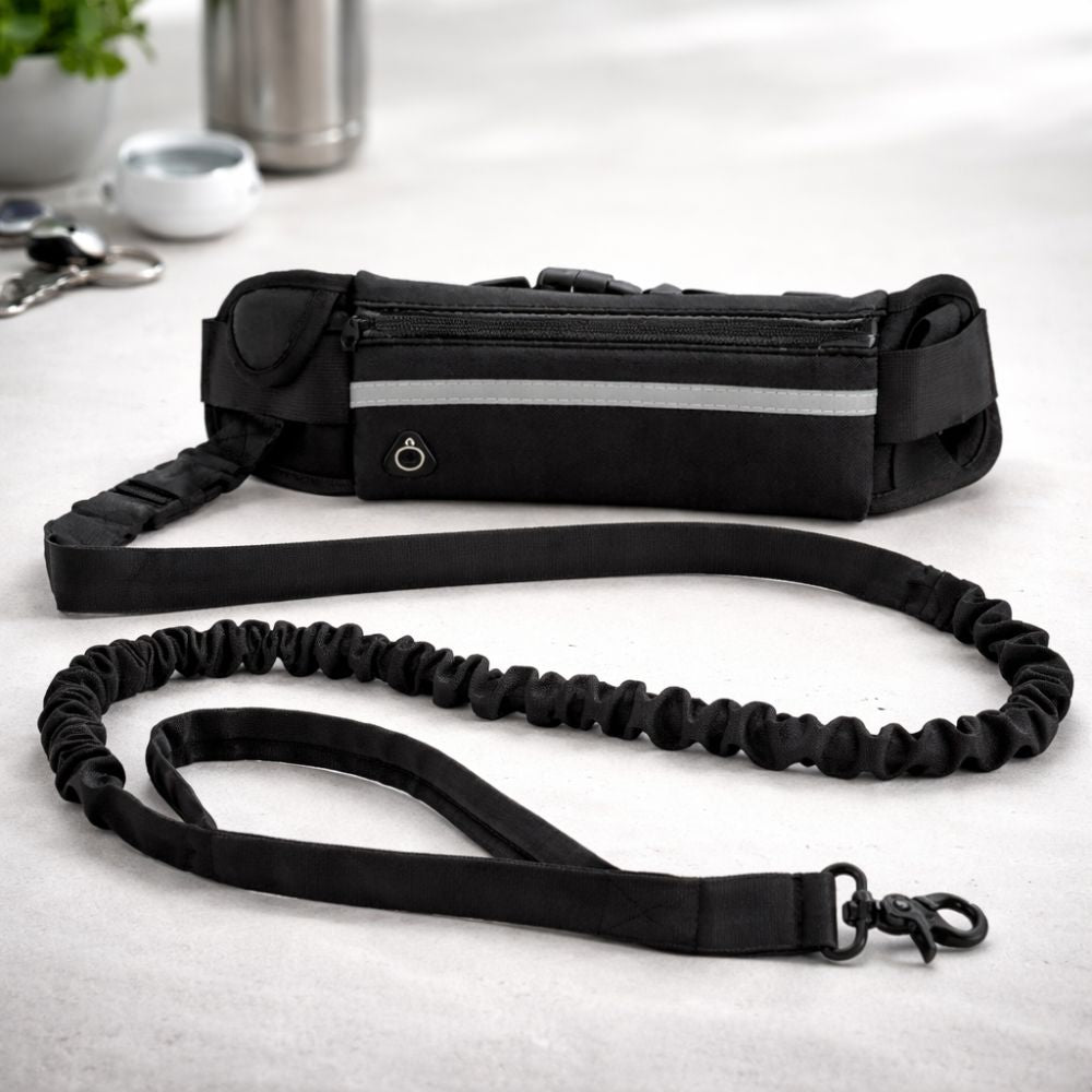 Laisse Mains Libres Anti-Traction pour Chien avec Amortisseur