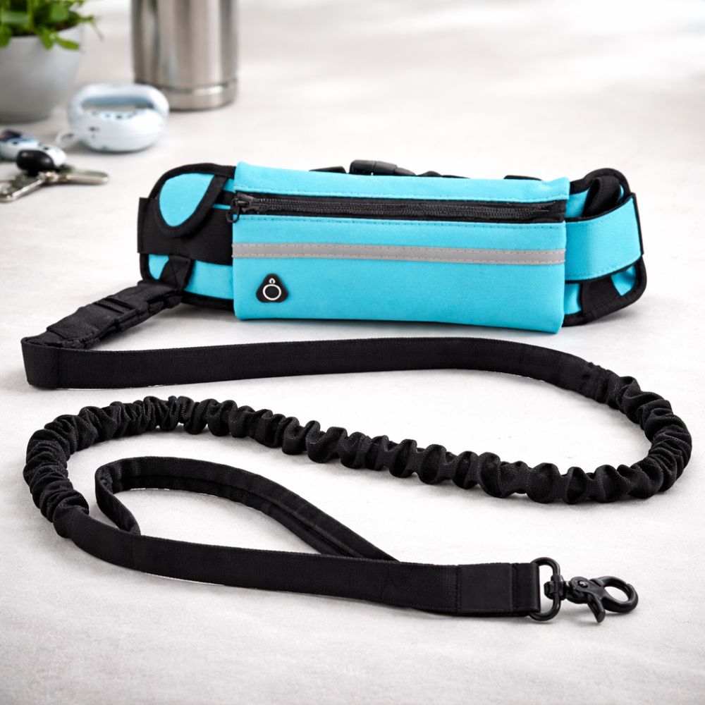 Laisse Mains Libres Anti-Traction pour Chien avec Amortisseur