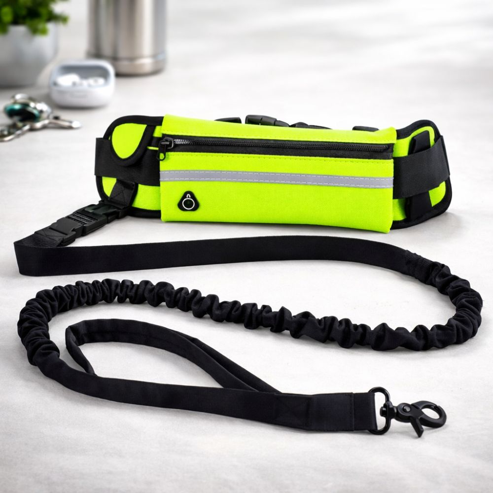 Laisse Mains Libres Anti-Traction pour Chien avec Amortisseur