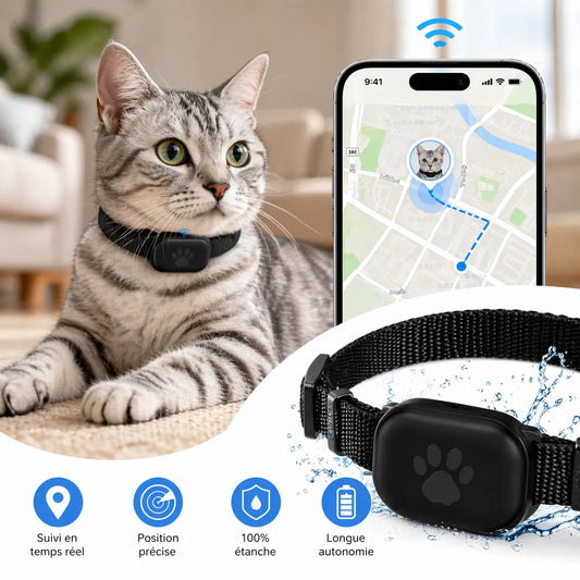 GPS chat sans abonnement – Collier Réglable Étanche, Sans Abonnement
