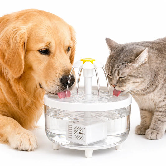Fontaine LumiFleur - Fontaine à eau pour chat 1,2L USB silencieuse, 3 modes & filtre charbon