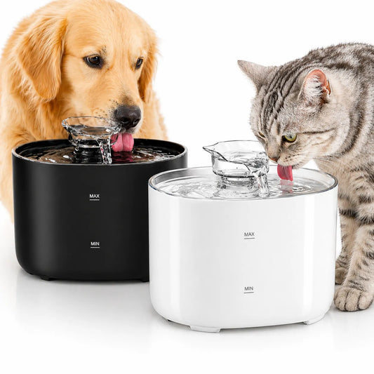 Fontaine a eau chat 2L USB Élégante & Silencieuse