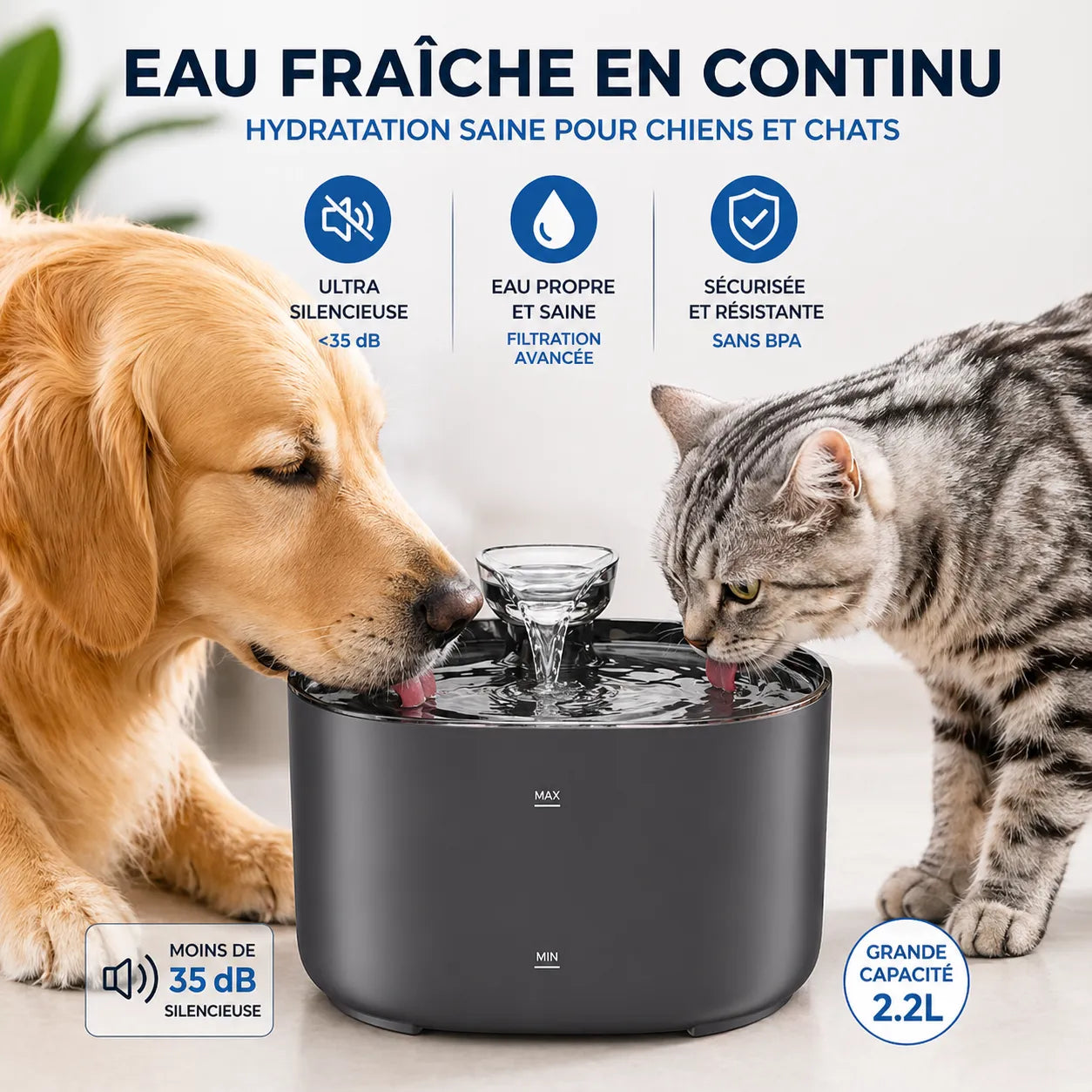 Fontaine a eau chat 2L USB Élégante & Silencieuse