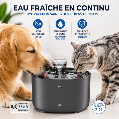 Fontaine a eau chat 2L USB Élégante & Silencieuse