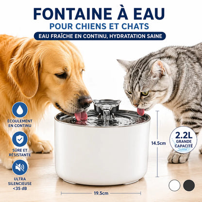 Fontaine a eau chat 2L USB Élégante & Silencieuse