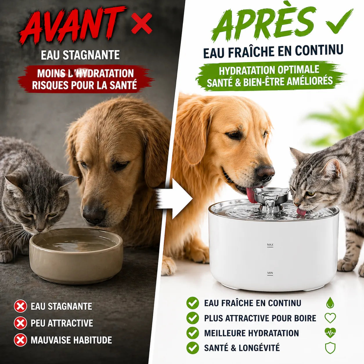 Fontaine a eau chat 2L USB Élégante & Silencieuse