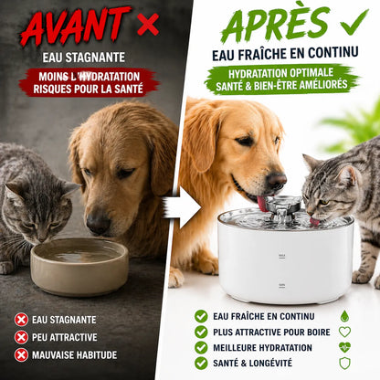 Fontaine a eau chat 2L USB Élégante & Silencieuse