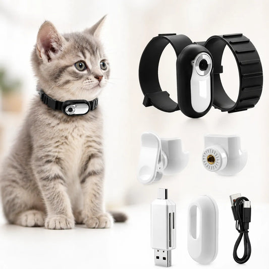 Collier pour chat PetView | Collier chat & chien Full HD 1080p