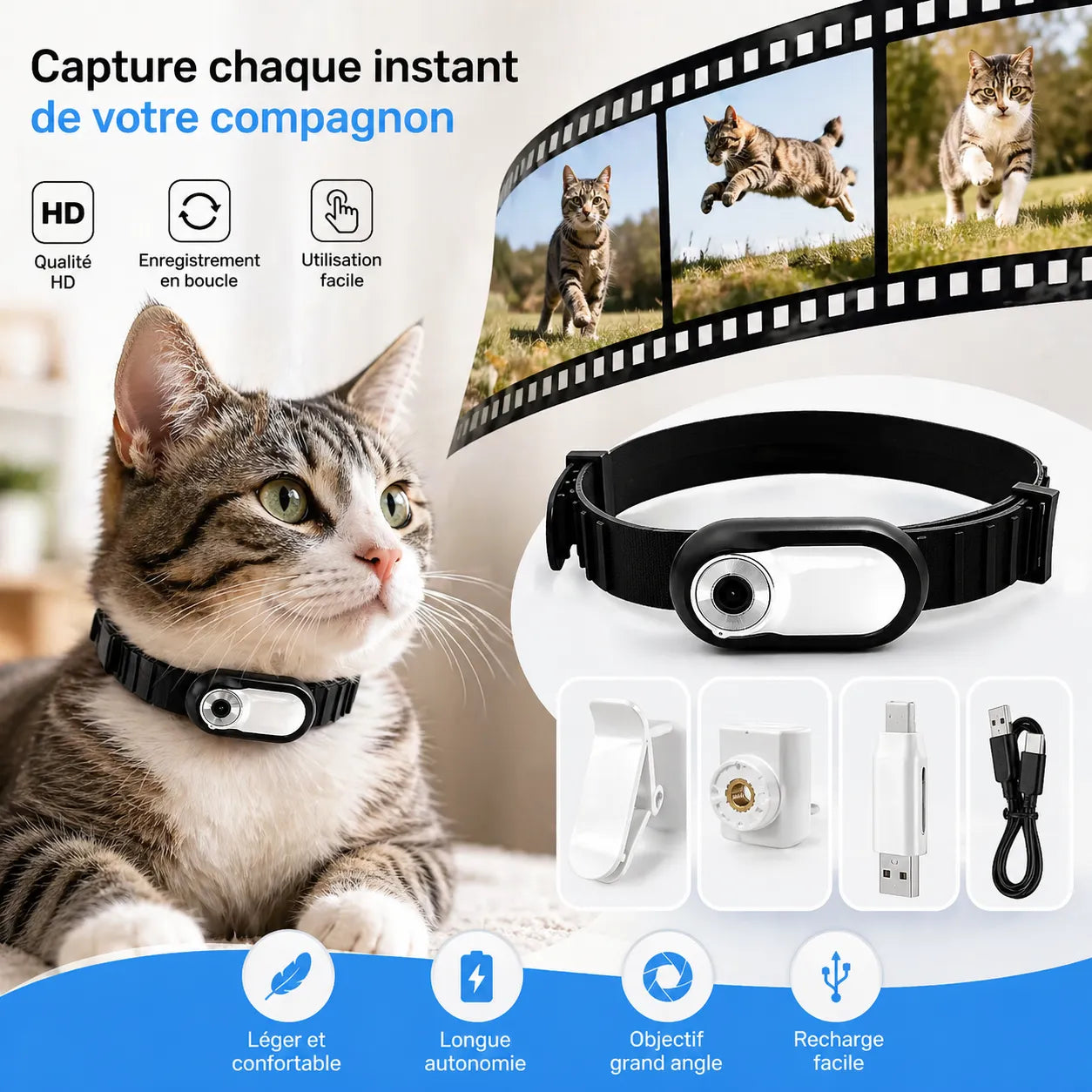 Collier pour chat PetView | Collier chat & chien Full HD 1080p