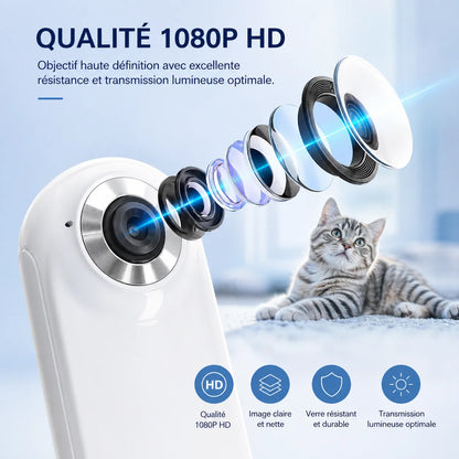 Collier pour chat PetView | Collier chat & chien Full HD 1080p