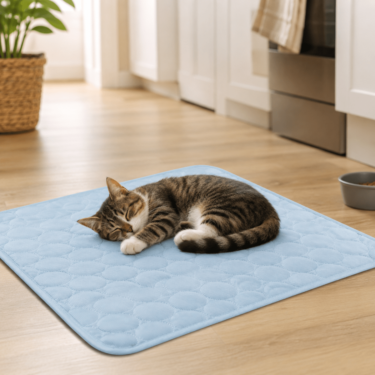 CHILLTAIL – Extra Large Cooling Rest Bed for Dogs & Cats