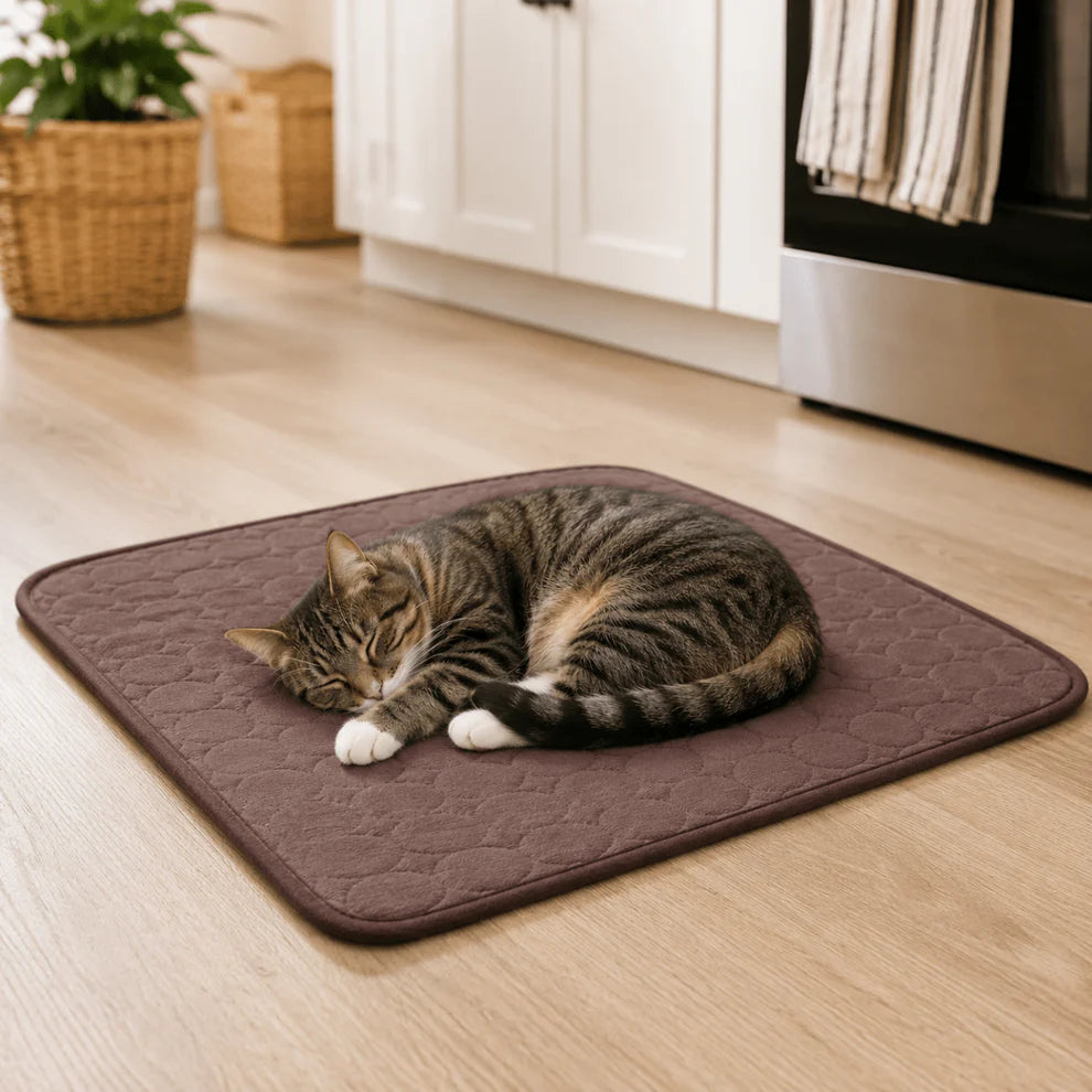 CHILLTAIL | Lit Rafraîchissant Grand Confort pour Chien et Chat