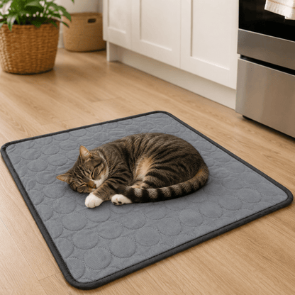 CHILLTAIL – Extra Large Cooling Rest Bed for Dogs & Cats