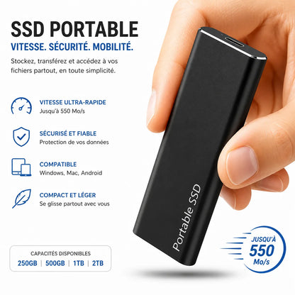 DataVault | Disque Dur Externe 4 To USB-C Portable