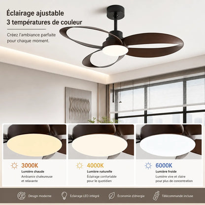 AéroLume | Ventilateur de Plafond LED Silencieux avec Pales en Bois