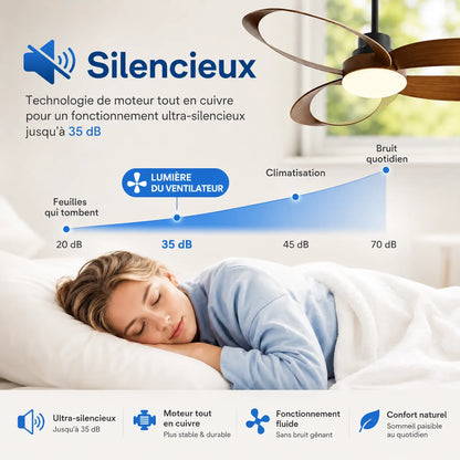 AéroLume | Ventilateur de Plafond LED Silencieux avec Pales en Bois