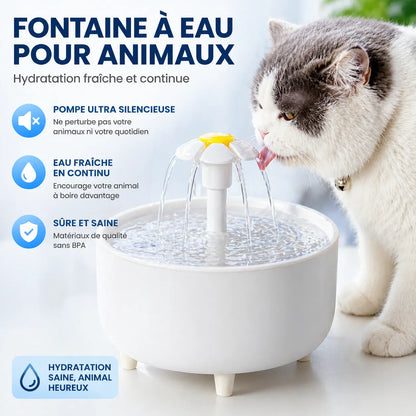 Fontaine LumiFleur - Fontaine à eau pour chat 1,2L USB silencieuse, 3 modes & filtre charbon