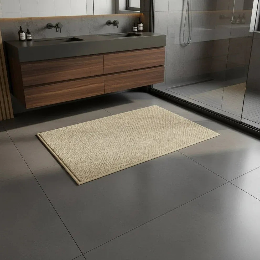 DryEntry | Tapis d’Entrée Absorbant Moderne à Séchage Rapide
