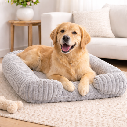 Canapé pour Chien Orthopédique