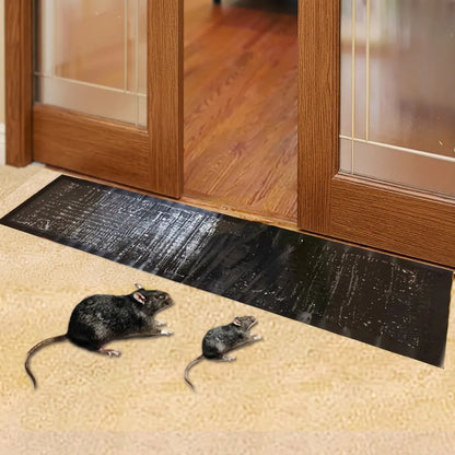 Pièges à Rat TrapZone | Piège à souris et insectes sans poison, grande surface (lot de 10)