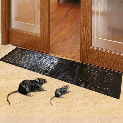 Pièges à Rat TrapZone | Piège à souris et insectes sans poison, grande surface (lot de 10)