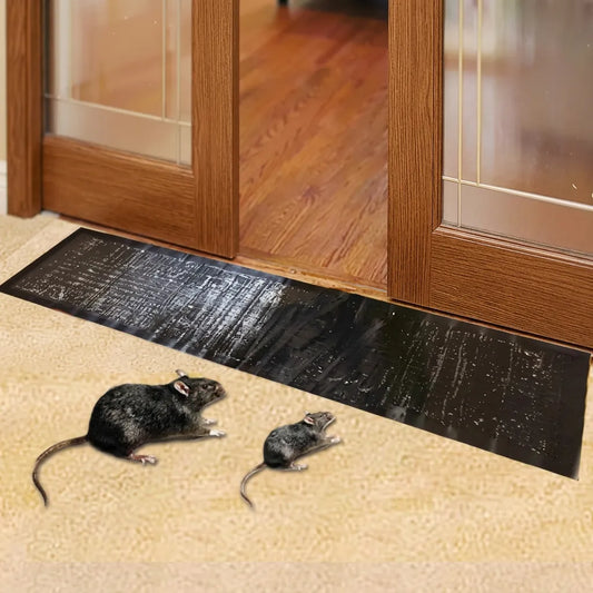 Pièges à Rat TrapZone | Piège à souris et insectes sans poison, grande surface (lot de 10)