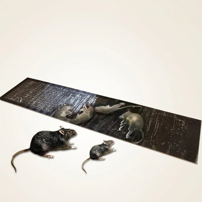 Pièges à Rat TrapZone | Piège à souris et insectes sans poison, grande surface (lot de 10)