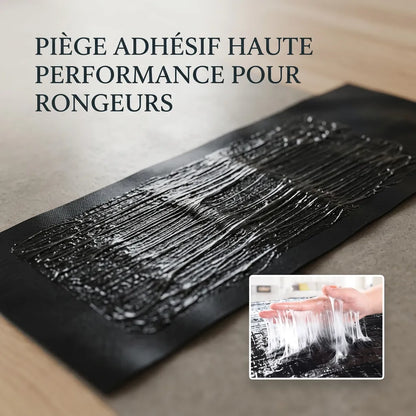 Pièges à Rat TrapZone | Piège à souris et insectes sans poison, grande surface (lot de 10)