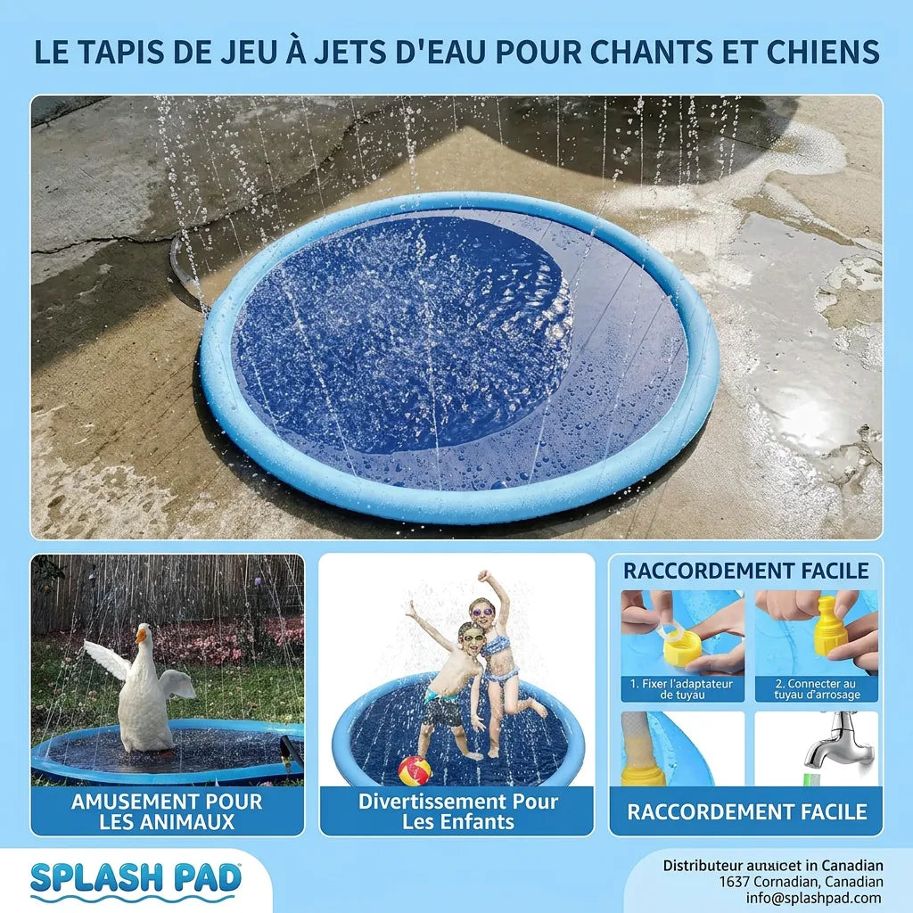 Piscine pour Chien SplashPaws | Tapis aquatique avec jets d’eau rafraîchissants