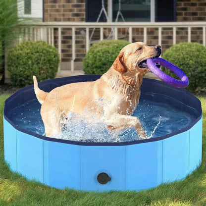 Piscine pour Chien AquaPaws | Piscine pliable grande capacité antidérapante