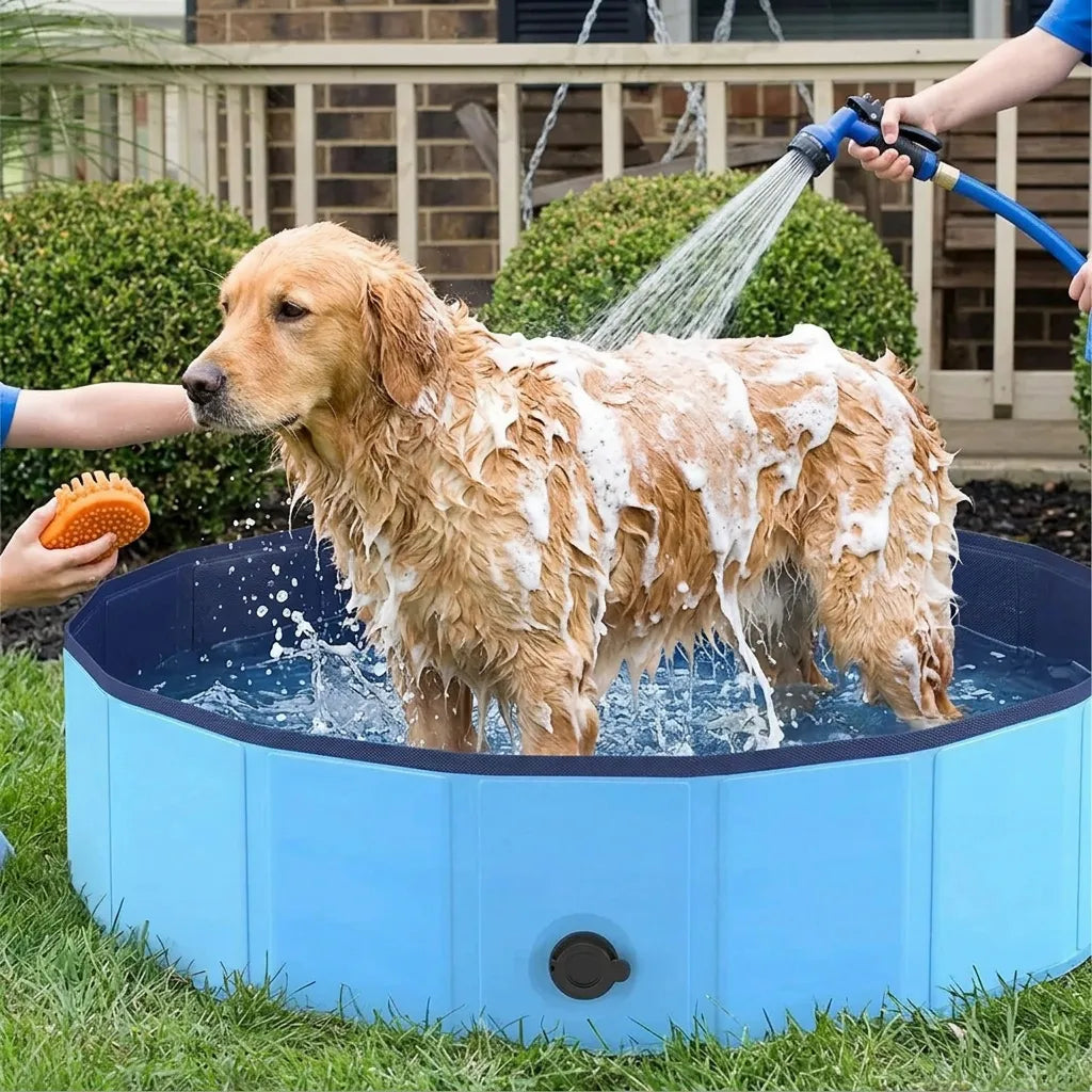 Piscine pour Chien AquaPaws | Piscine pliable grande capacité antidérapante