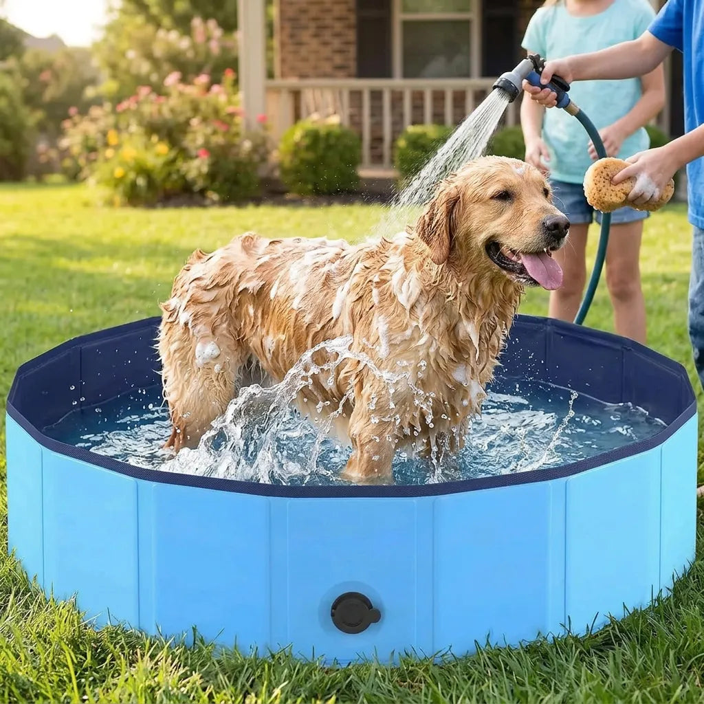 Piscine pour Chien AquaPaws | Piscine pliable grande capacité antidérapante