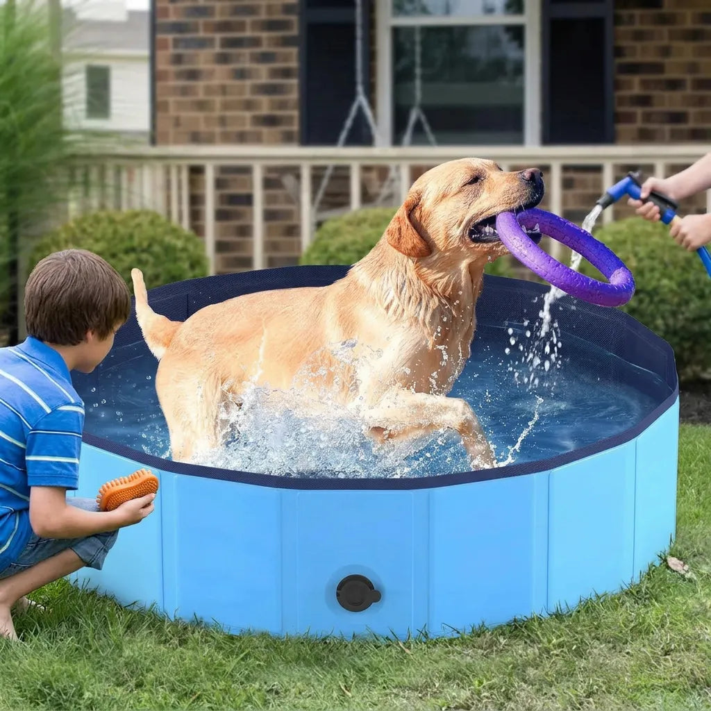 Piscine pour Chien AquaPaws | Piscine pliable grande capacité antidérapante